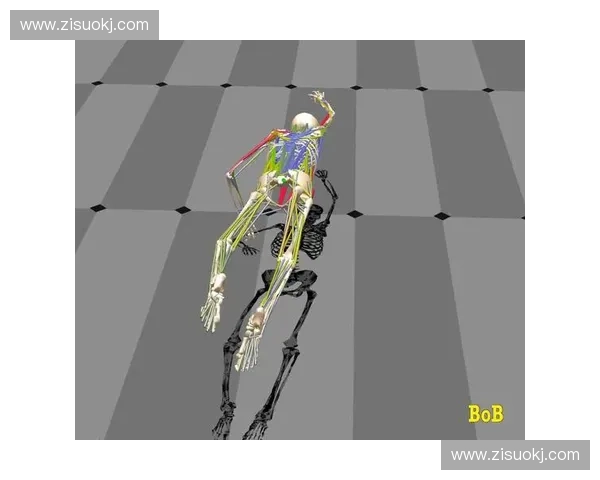 人体运动性能优化与损伤预防的生物力学机制研究探索